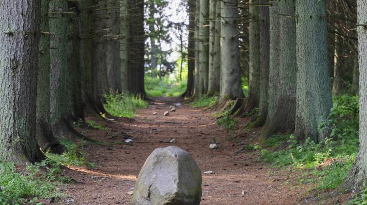 Luontomatkailijat Vuojoki - Luontopolku.